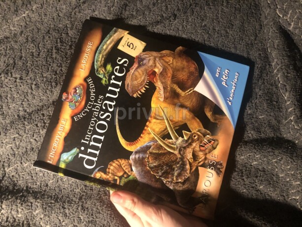 Livre dinosaure
