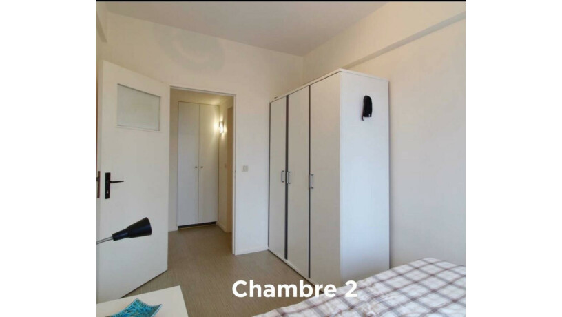 colocation-meuble-a-louer-avec-sdb-prive-sur-paris-15-arrondissement-big-1