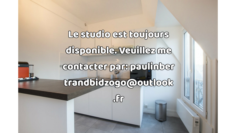 studio-meuble-de-24m2-a-louer-sur-paris-15eme-big-1
