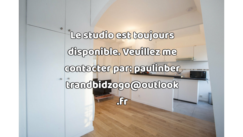 studio-meuble-de-24m2-a-louer-sur-paris-15eme-big-2