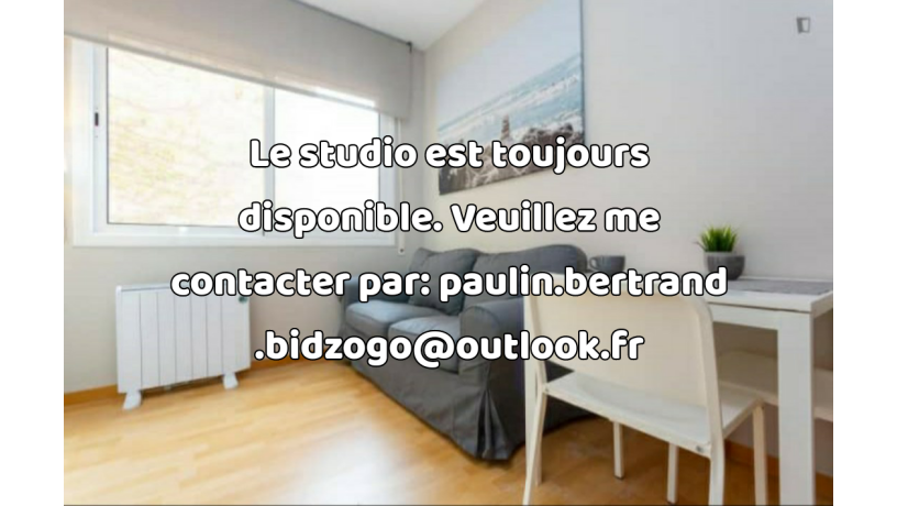 studio-meuble-a-louer-a-lyon-7eme-big-2