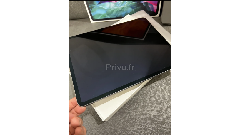 Apple iPad Pro 4e génération gris sidéral