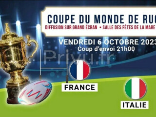 Disponible 6 place pour la CDM rugby France vs Italie