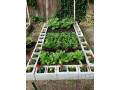 paysagiste-jardinier-et-horticole-small-0