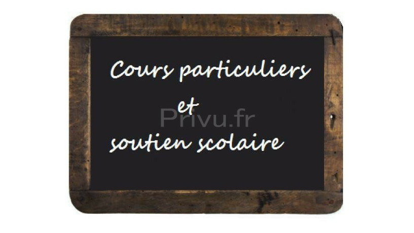 Cours de Français et langues étrangères par webcam